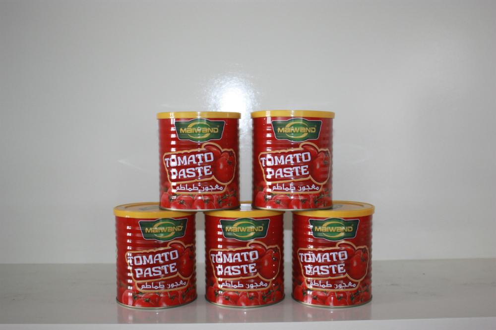 Pasta tomat 140gx50 - Tutup Mudah Dibuka - pasta tomat1-27